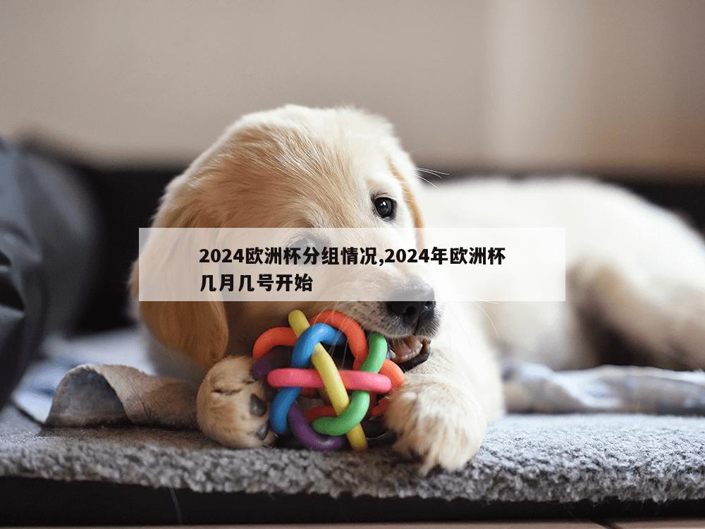 2024欧洲杯分组情况,2024年欧洲杯几月几号开始