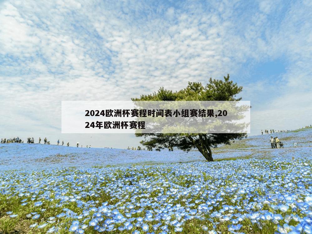 2024欧洲杯赛程时间表小组赛结果,2024年欧洲杯赛程