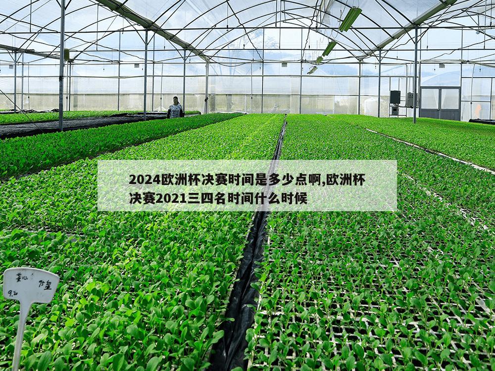 2024欧洲杯决赛时间是多少点啊,欧洲杯决赛2021三四名时间什么时候