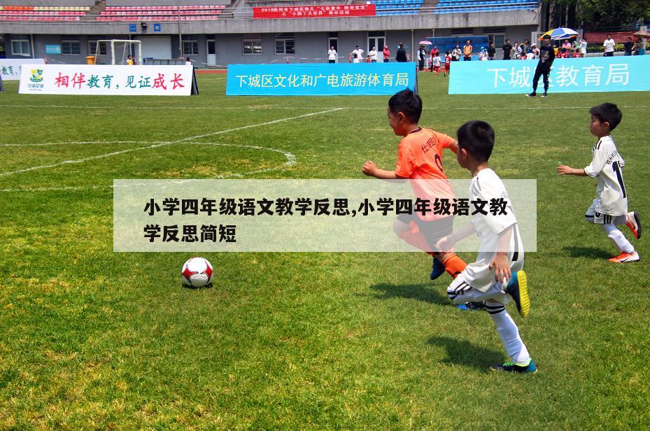 小学四年级语文教学反思,小学四年级语文教学反思简短