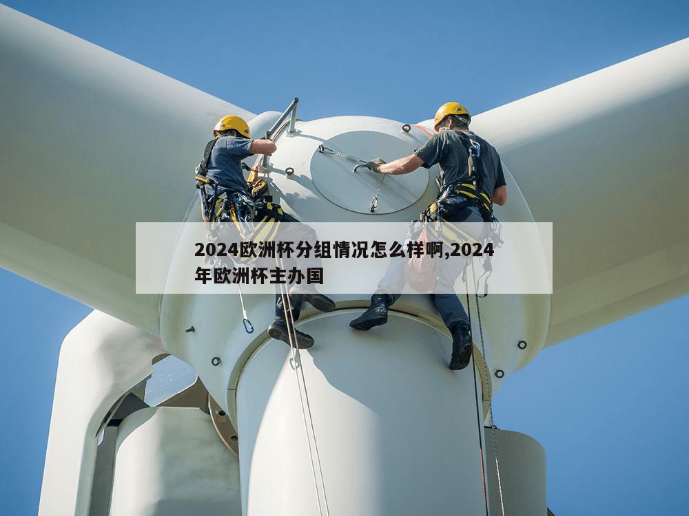 2024欧洲杯分组情况怎么样啊,2024年欧洲杯主办国