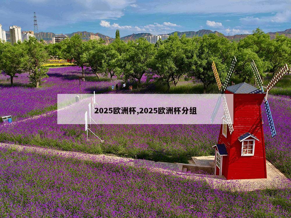 2025欧洲杯,2025欧洲杯分组