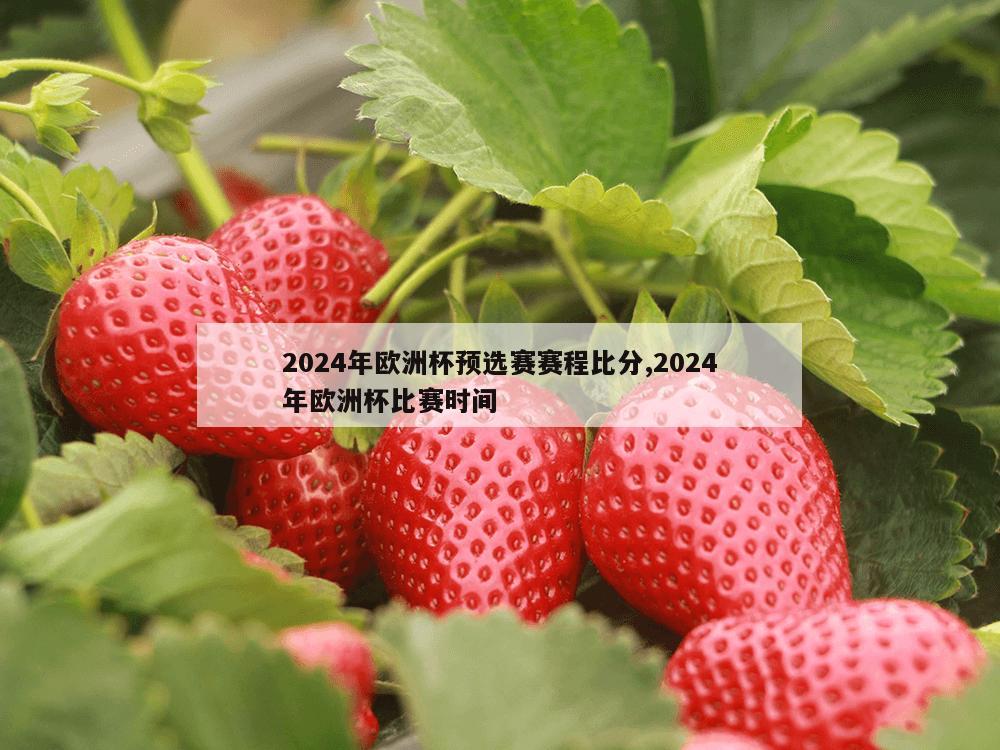 2024年欧洲杯预选赛赛程比分,2024年欧洲杯比赛时间