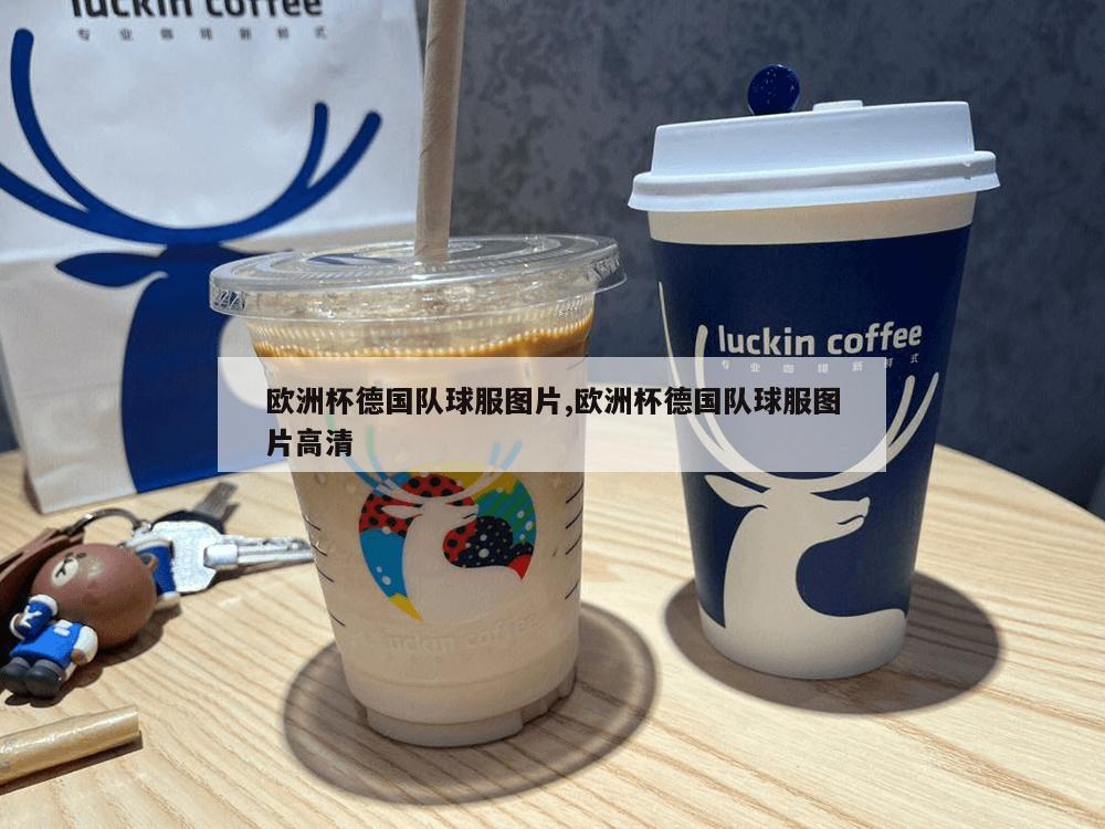 欧洲杯德国队球服图片,欧洲杯德国队球服图片高清