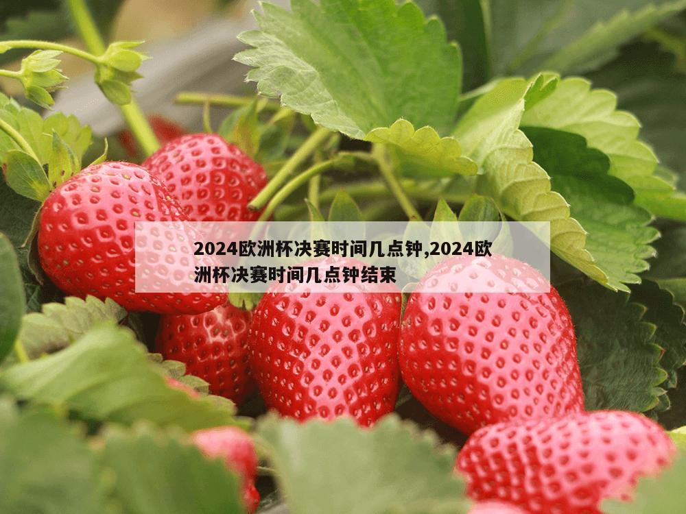 2024欧洲杯决赛时间几点钟,2024欧洲杯决赛时间几点钟结束