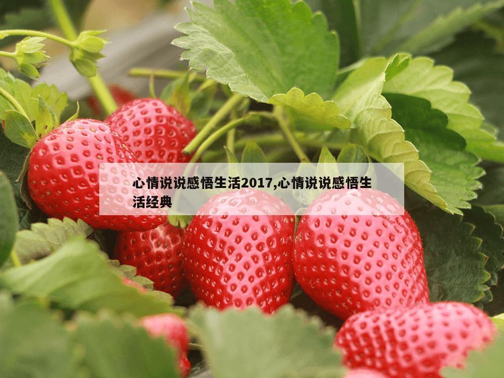 心情说说感悟生活2017,心情说说感悟生活经典