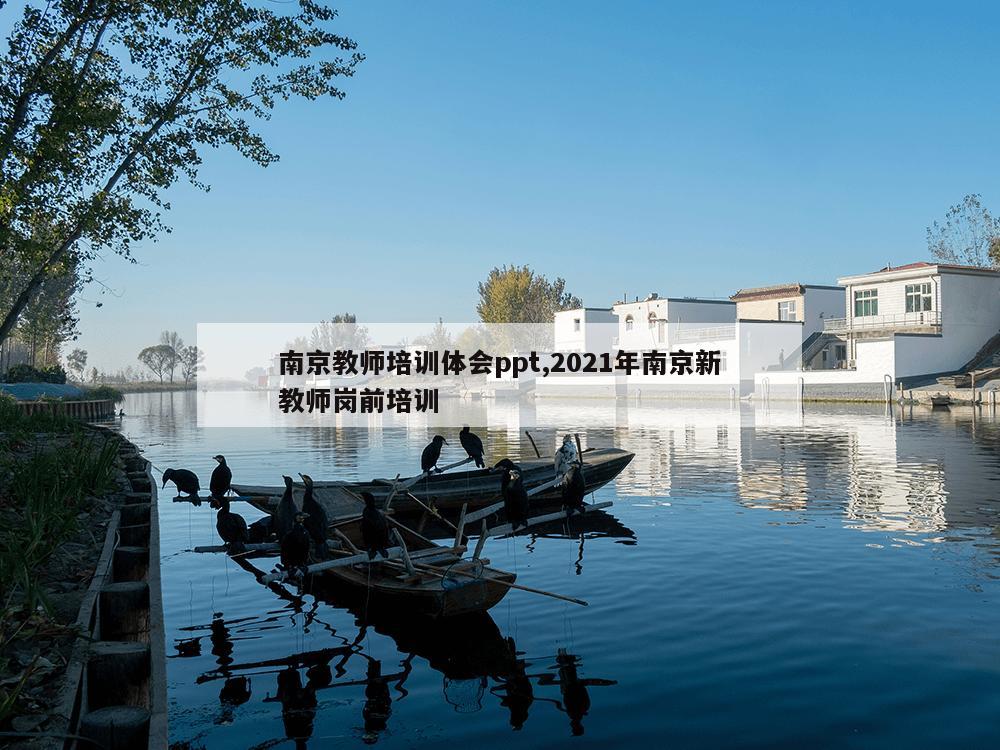 南京教师培训体会ppt,2021年南京新教师岗前培训